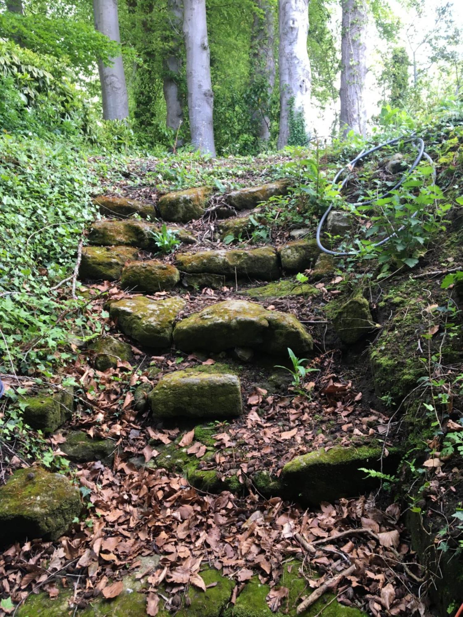 Le Clos Du Val A Loup Benarville Экстерьер фото